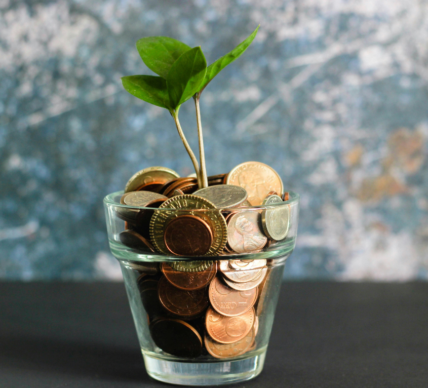 Medición y reducción de huella de carbono.