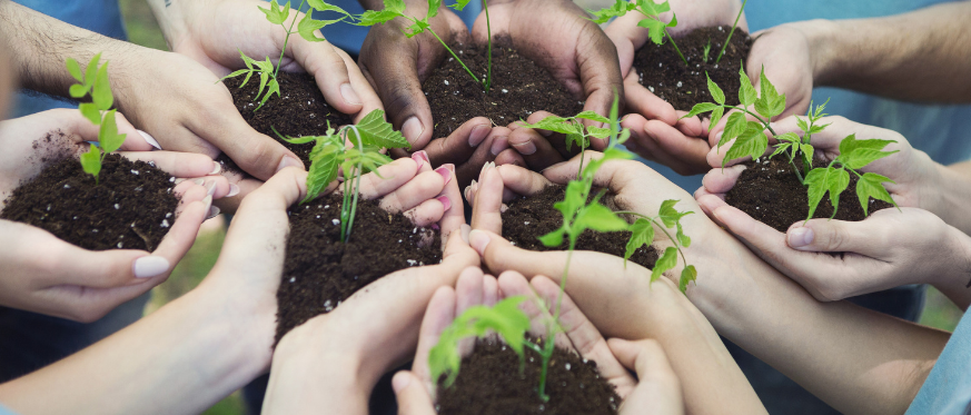 Evaluación de impacto social y ambiental de proyectos.
