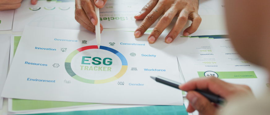 Preparación de reportes de sustentabilidad bajo estándares internacionales (GRI, SASB, TCFD, ISO 26000).