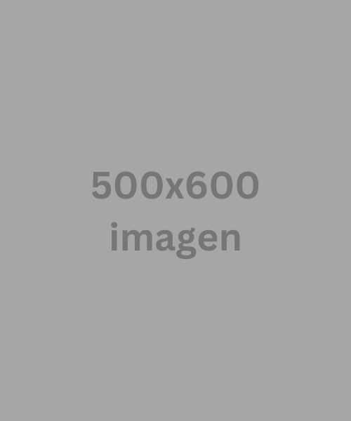 500x600 imagen